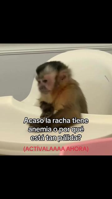 @saulburgosp