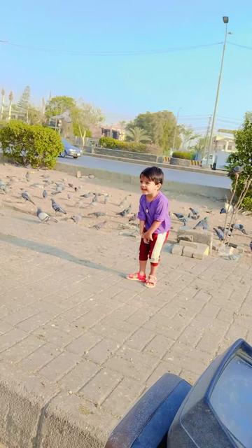 @Sunny