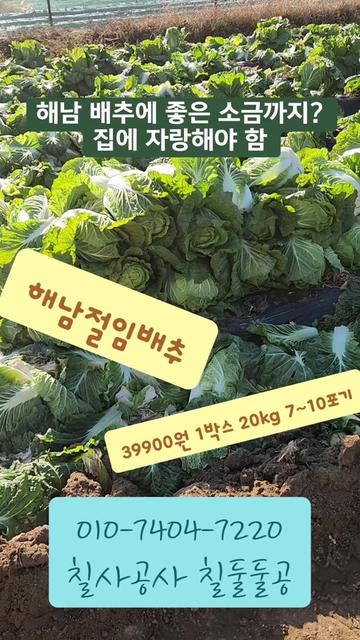 @먹거리 전도사