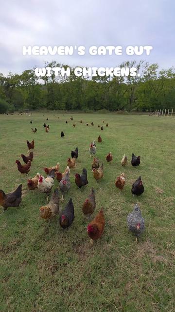 @FIRST TRY FARM