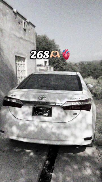 @hassanalinew403