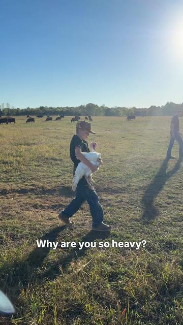 @Stuart Farmstead
