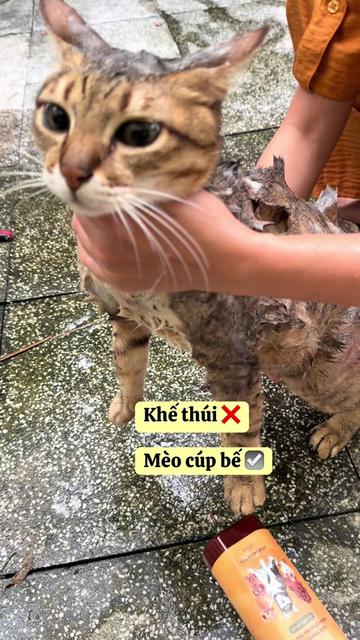@Khế thúi