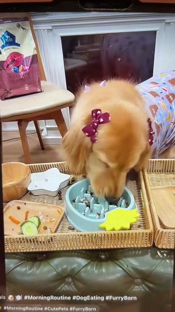 @Meghan