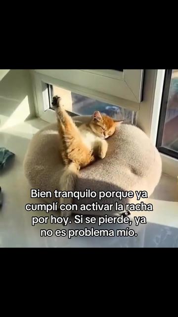 @saulburgosp