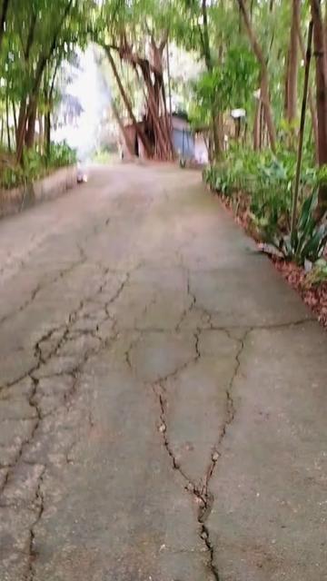 @๐โค๏ธyuan1926โค๏ธ๐