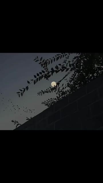 @𓆩♡𓆪