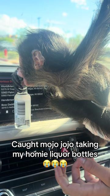 @OJTV & Mojo Jojo🧡