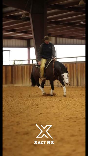 @Larson Performance Horses