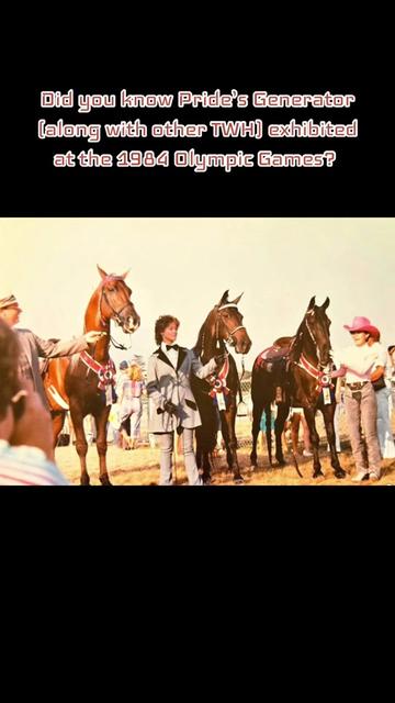 @EightyDollarStables