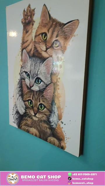 @Bemo Catshop