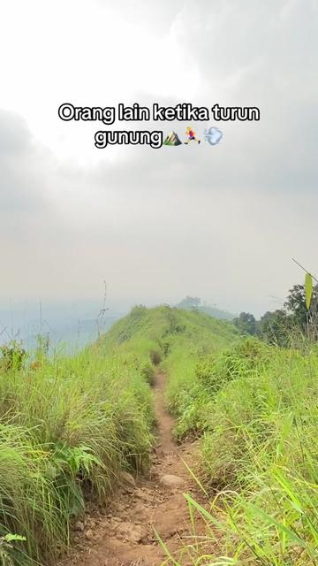 @guwenta
