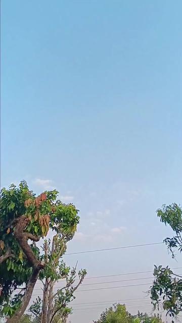 @mas muk