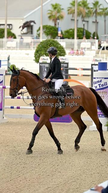 @Free Ride Equestrian