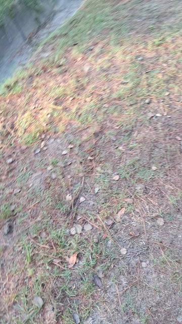 @bigtymeford