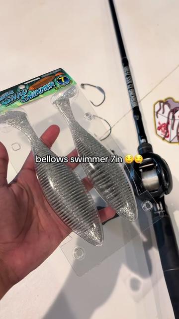 @Swimbait_noah