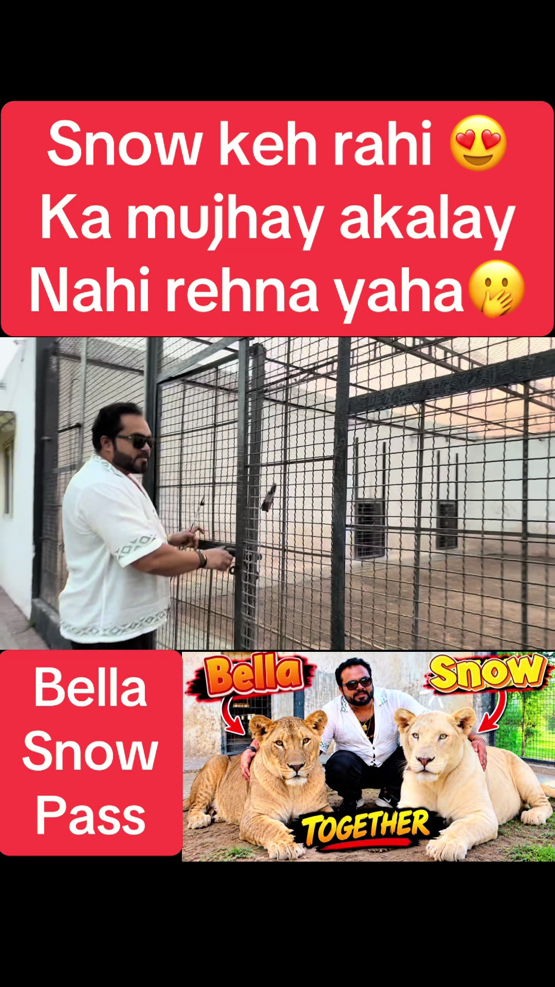@Mian saqib