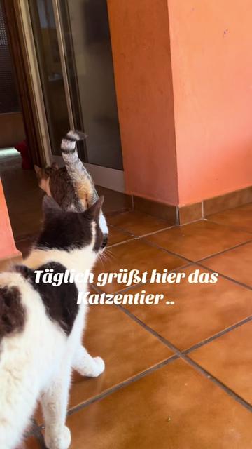 @FincaKunterbunt