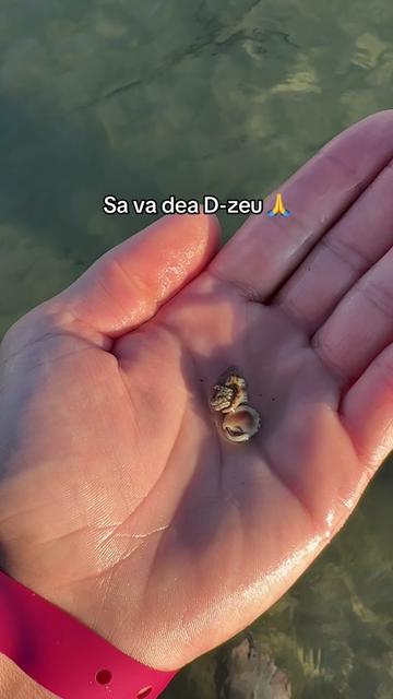@SubaDaily