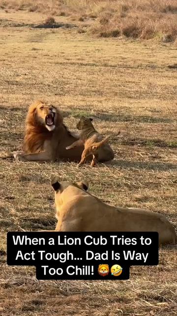 @KJ@LoveAnimalsEpicNature