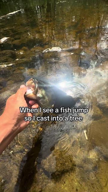 @218 fishing