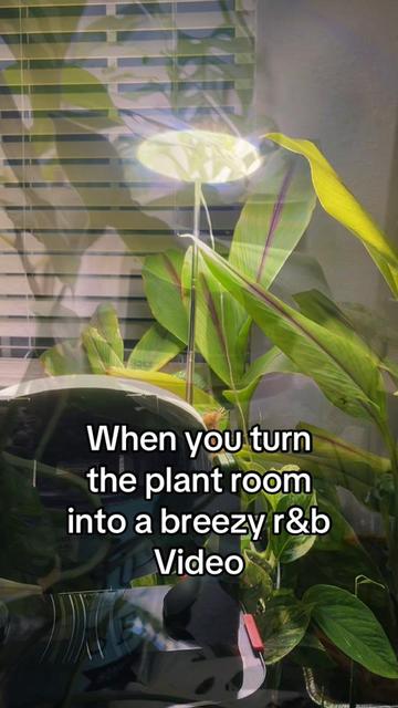 @greengirlgardens
