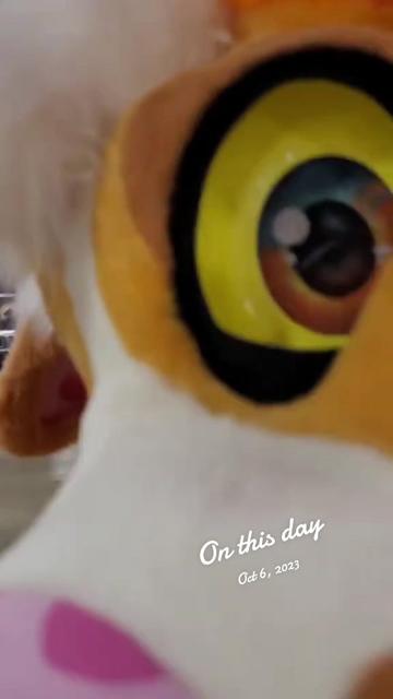 @Areyoufurwheels