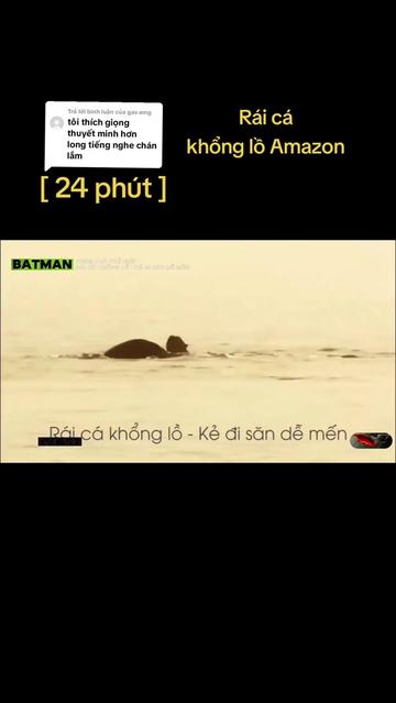 @🌏 BATMAN