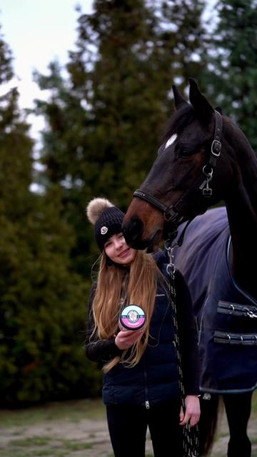 @Doctor Horse