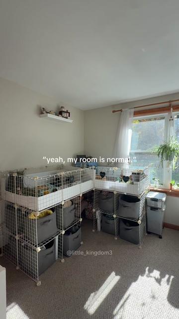 @Ashlyn | Pet Care