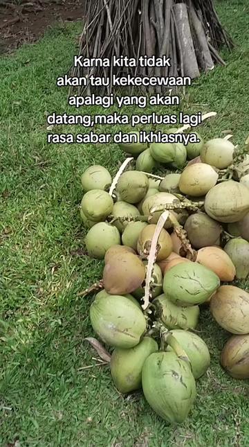 @@BANGKIT_MANDIRI01