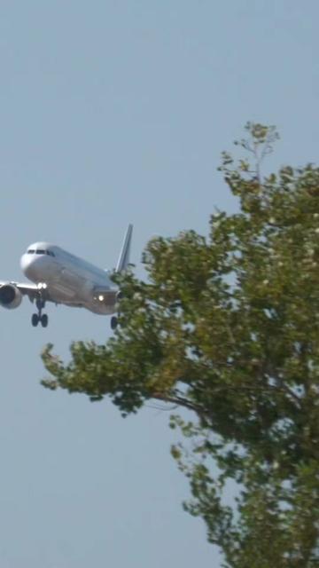 @Lisbon Spotting