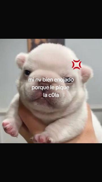 @cris ❄️