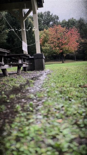 @Hani