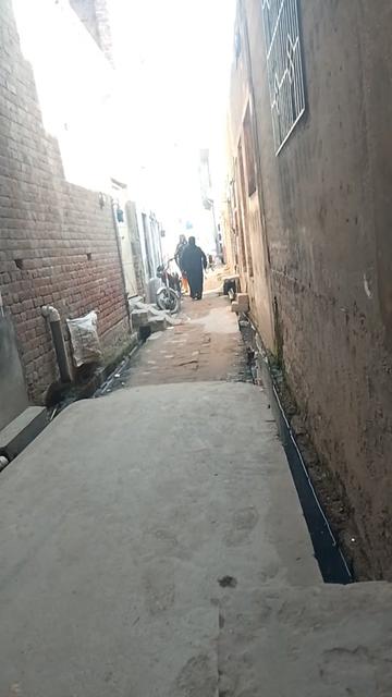 @Bushra786