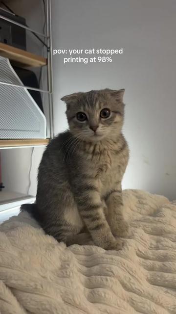 @Suki