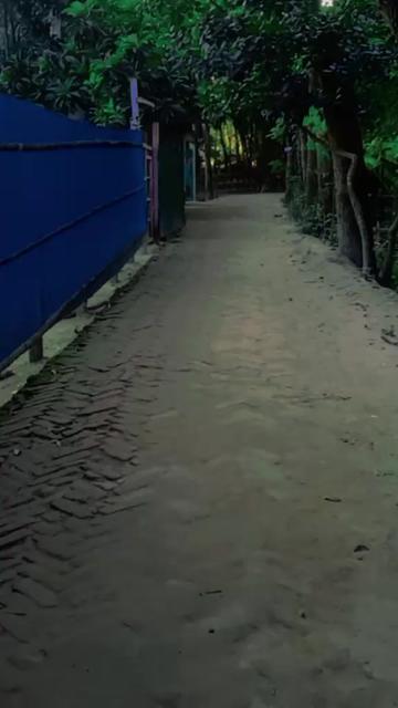 @Taniya Tv24