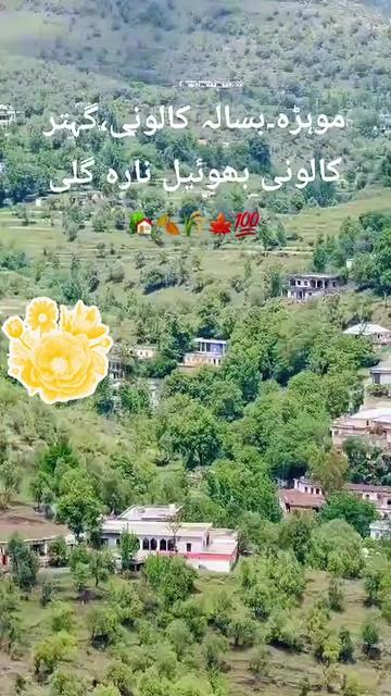 @🕊️.⋆کلمدم کشمیری.⋆👸