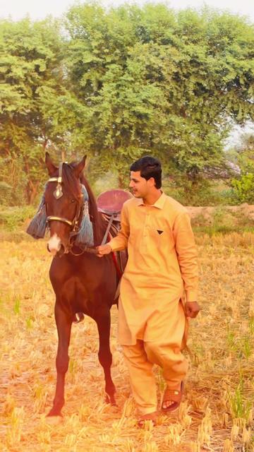 @ladlabhatti