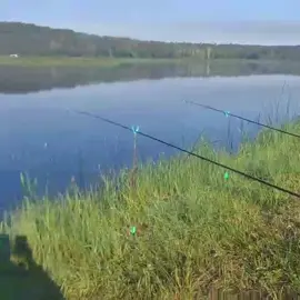 @МАТЬ ДРАКОНІВ🤣
