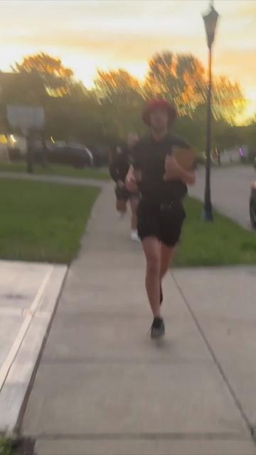 @Nik Swoger Clips