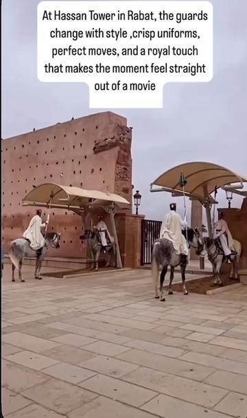 @HORSES