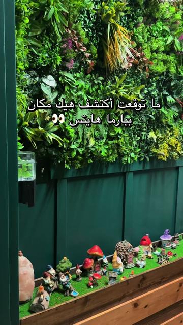 @Batool Aldwaimah ❤️