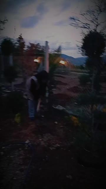 @Duran Karakaş