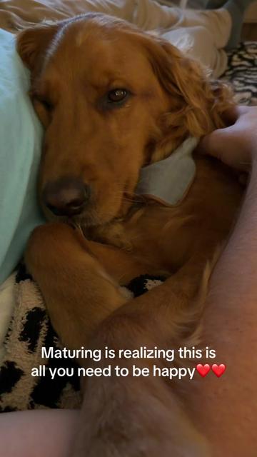 @Sammy The Big Red Dog
