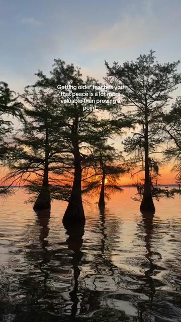 @Caddo Lake FirstCastCabin