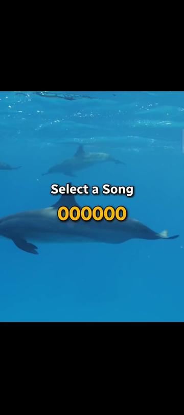 @ΣMMΛП