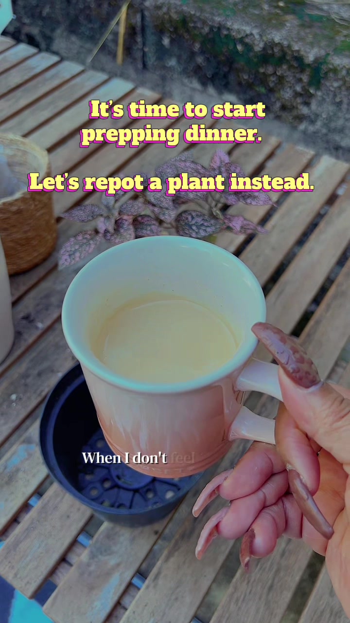 @Danita Platt | Home Economist