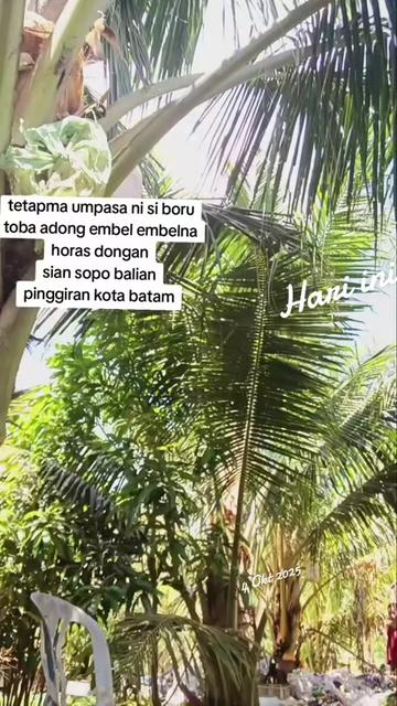 @SOPO BALIAN & SIBORU TOBA
