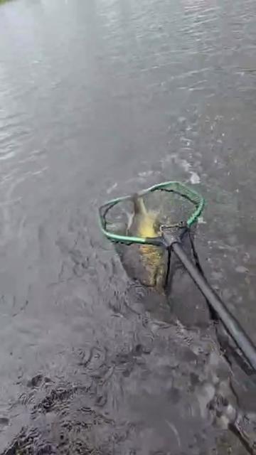 @Iron Claw_Fishing